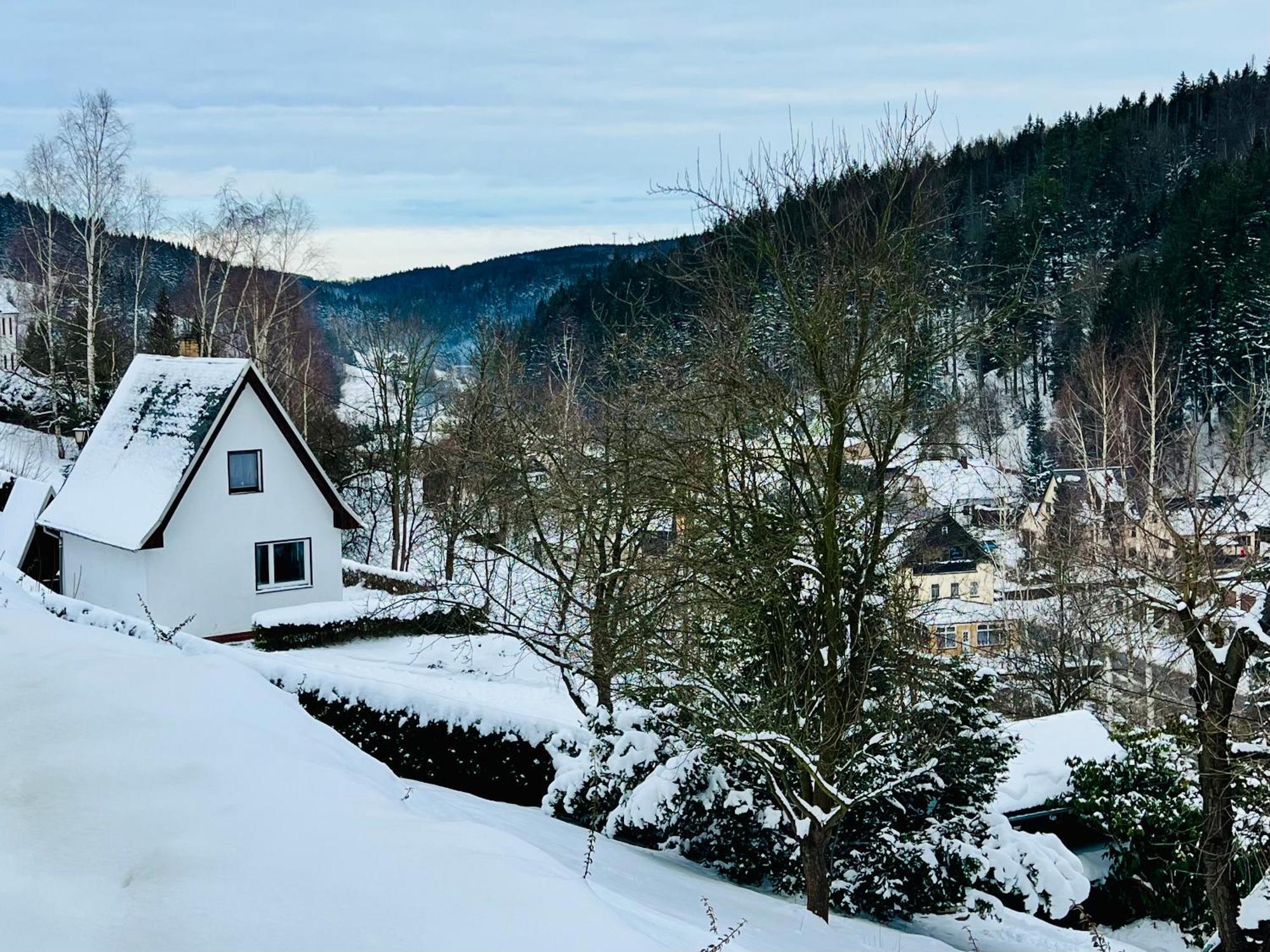 Urige Berghuette Mit Kamin Und Sauna Im Erzgebirge Nahe Schwarzwassertal Pobershau Exteriör bild